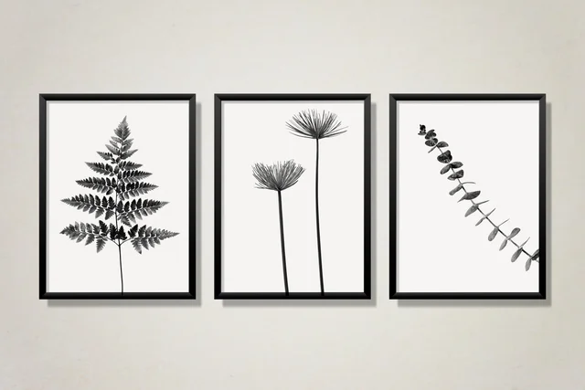 Pack 3 Láminas decorativas plantas en blanco y negro - Miss Decory