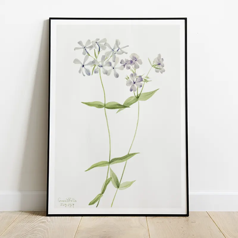 Flores silvestres violeta - Miss Decory | Láminas y pósters diferentes a  las demás