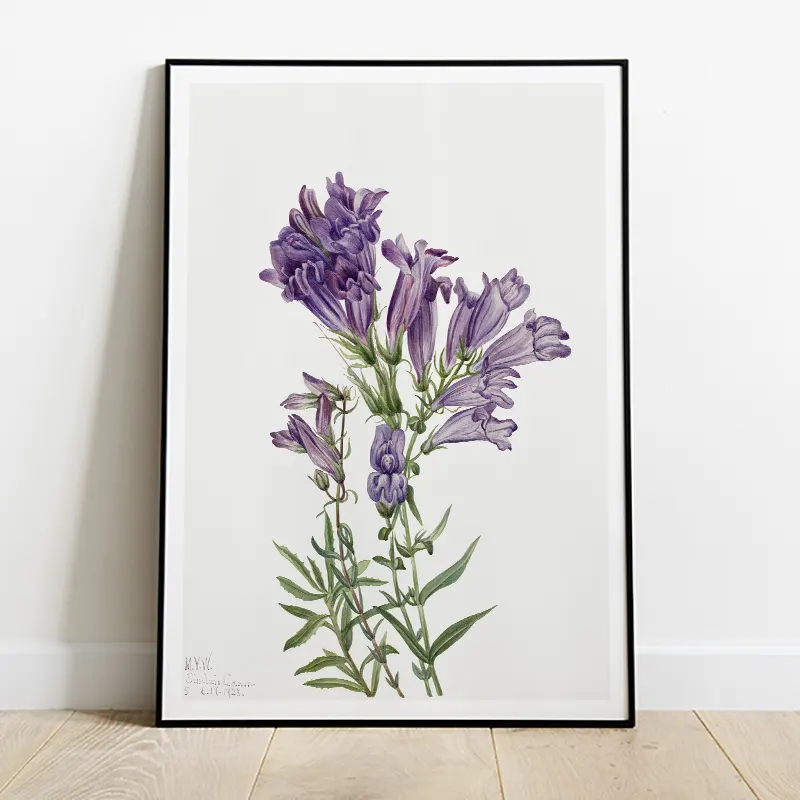 Ramillete flores silvestres violeta - Miss Decory | Láminas y pósters  diferentes a las demás